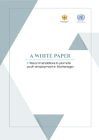 A white paper: Recommendations to promote youth employment in Montenegro