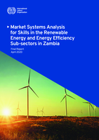 Market systems analysis for skills in the renewable energy and energy efficiency sub-sectors in Zambia: final report