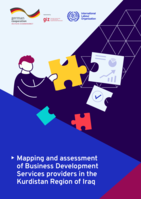 Mapping and assessment of business development services providers in the Kurdistan region of Iraq