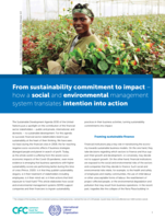 From sustainability commitment to impact: how a social and environmental management system translates intention into action