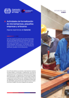 Actividades de formalización de microempresas, pequeñas empresas y artesanos: algunas experiencias de Camerún