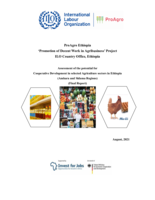 Assessment of the potential for cooperative development in selected agriculture sectors in Ethiopia (Amhara and Sidama Regions): final report