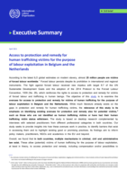 Access to protection and remedy for human trafficking victims for the purpose of labour exploitation in Belgium and the Netherlands: executive summary