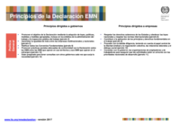 Principios de la Declaración EMN