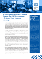 What works in a market-oriented strategy for SME development - evidence from Myanmar