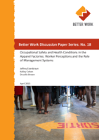 Occupational safety and health conditions in apparel factories: worker perceptions and the role of management systems