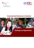 Financing small businesses in Indonesia: challenges and opportunities