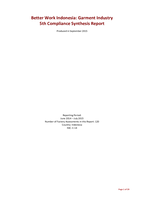Garment industry 5th compliance synthesis report