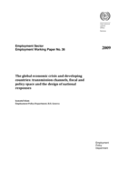 The global economic crisis and developing countries: transmission channels, fiscal and policy space and the design of national responses