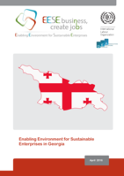 The enabling environment for sustainable enterprises in Georgia
