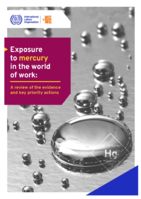 Exposure to mercury in the world of work: a review of the evidence and key priority actions