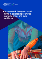 A framework to support small firms in developing countries navigate crises and build resilience