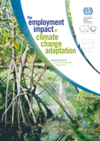 The employment impact of climate change adaptation: input document for the G20 Climate Sustainability Working Group