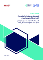 Assessment to inform a capacity building programme on working conditions including occupational safety and health (osh) and decent work within the telecommunication sector in Egypt: report summary