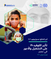 The impact of COVID-19 on employment and wages in Egypt