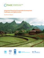 Integrated planning and sustainable development: challenges and opportunities, synthesis report