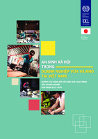 Social protection among Vietnamese SMEs: implications for firm performance, 2012-16