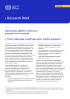 Macro policy options to stimulate pandemic-hit economies