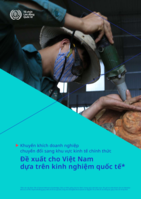 Encouraging enterprises to transition from informal to formal: lessons for Viet Nam from the international experience