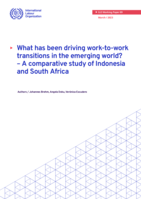 What has been driving work-to-work transitions in the emerging world?: a comparative study of Indonesia and South Africa