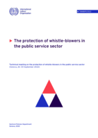 The protection of whistle-blowers in the public service sector