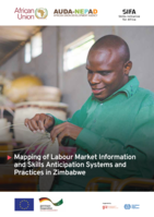 Mapping of labour market information and skills anticipation systems and practices in Zimbabwe
