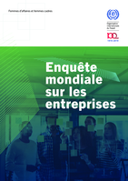 Femmes d'affaires et femmes cadres [ressource électronique] : enquête mondiale sur les entreprises / Bureau international du Travail, Bureau des activités pour les employeurs (ACT /EMP)