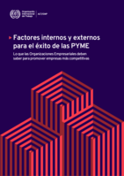 Factores internos y externos para el éxito de las PYME: lo que las Organizaciones Empresariales deben saber para promover empresas más competitivas