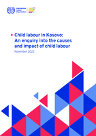 Child labour in Kosovo: an enquiry into the causes and impact of child labour