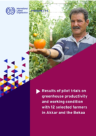 Results of pilot trials on greenhouse productivity and working condition with 12 selected farmers in Akkar and the Bekaa