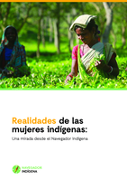 Realidades de las mujeres indígenas: una mirada desde el navegador indígena