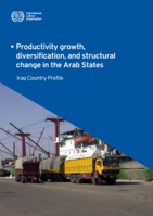 Productivity growth, diversification, and structural change in the Arab States: Iraq country profile