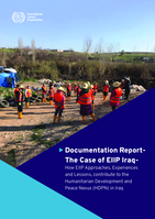 Documentation report the case of EIIP Iraq: how EIIP approaches, experiences and lessons, contribute to the humanitarian development and peace nexus (HDPN) in Iraq