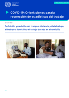 Definición y medición del trabajo a distancia, el teletrabajo, el trabajo a domicilio y el trabajo basado en el domicilio