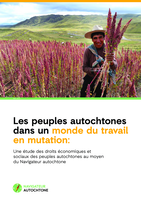 Les peuples autochtones dans un monde du travail en mutation: une étude des droits économiques et sociaux des peuples autochtones au moyen du Navigateur autochtone