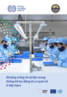 Data gaps in international labour migration statistics in Viet Nam