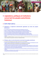 Législations, politiques et institutions concernant les peuples autochtones: Cameroun