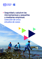 Seguridad y salud en las microempresas y pequeñas y medianas empresas: colección de cinco estudios de casos