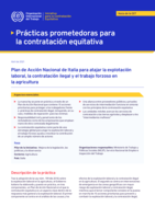 Plan de Acción Nacional de Italia para atajar la explotación laboral, la contratación ilegal y el trabajo forzoso enla agricultura