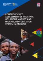 Comprehensive assessment of the state of labour market and migration information system in Ethiopia