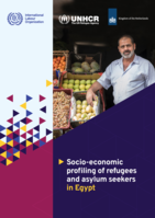 Socio-economic profiling of refugees and asylum seekers in Egypt