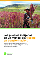 Los pueblos indígenas en un mundo del trabajo en transformación: análisis de los derechos económicos y sociales de los pueblos indígenas a través del Navegador Indígena
