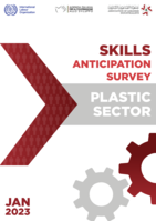 Skills anticipation survey: plastic sector