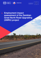 Employment impact assessment of the Zambian Great North Road Upgrading (GNRU) project