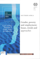 Southern Africa: gender, poverty and employment : issues, trends and approaches