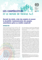 Garantir les droits, créer des emplois et assurer la durabilité: l’autonomisation des peuples autochtones grâce au modèle coopératif