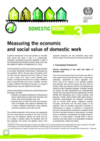 Measuring the economic and social value of domestic work