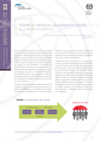 Réduire les obstacles qui entravent l’accès à la micro-assurance