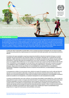Ofreciendo seguros responsables