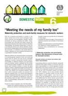 "Meeting the needs of my family too": maternity protection and work-family measures for domestic workers